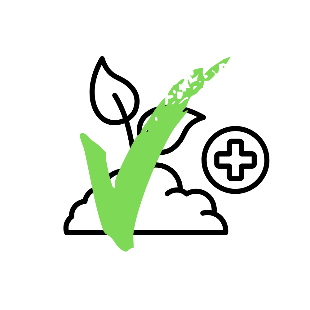 An icon of a pile of soil and a leaf with a green checkmark, indicating that soil and garden waste are accepted for skip hire in Glasgow and Edinburgh.